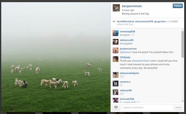 Benjamin Hole.Sheep in Fog