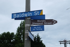 Baldwin Street is the world's steepest street with a 19 degree or 35% slope.